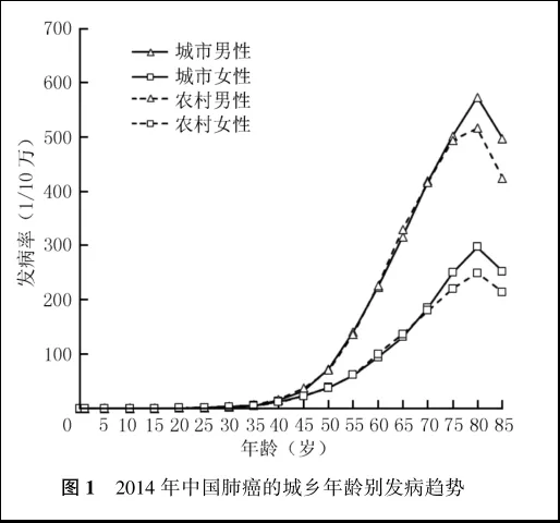 2014中國肺癌的城鄉年齡別發(fā)病趨勢